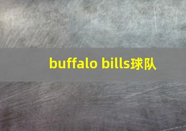 buffalo bills球队